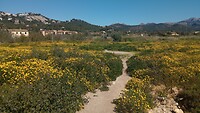 IMG_20260405_121105842