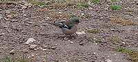 IMG_20260413_170049722