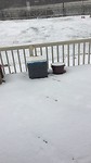 1e keer sneeuw
