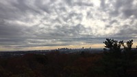 IMG_0780