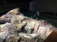 IMG_0782