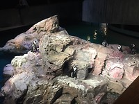 IMG_0783