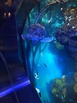 IMG_0784