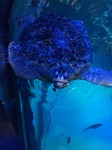 IMG_0785