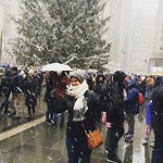 IMG_1239