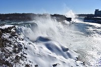 DSC_0577