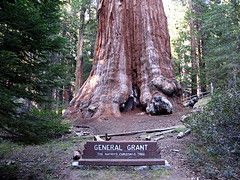 general-grant-lower-big
