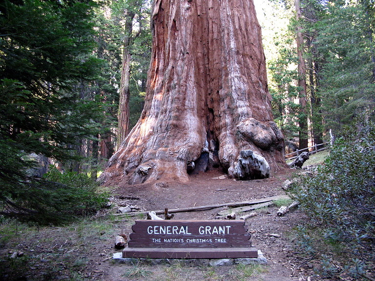 general-grant-lower-big
