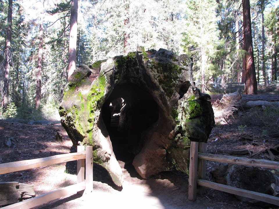 Grand Grove 16 april 006