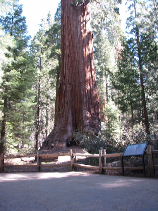 Grand Grove 16 april 010