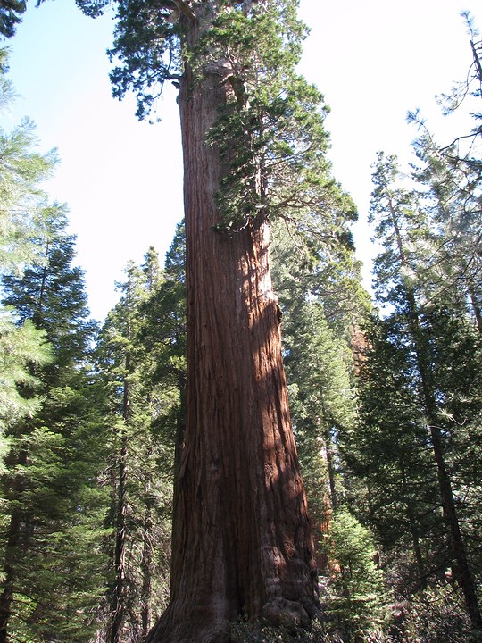 Grand Grove 16 april 011