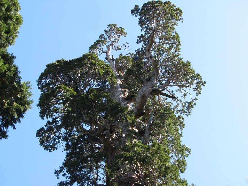 Grand Grove 16 april 013
