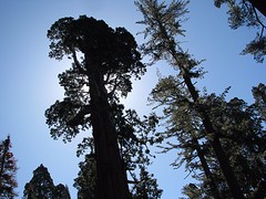 Grand Grove 16 april 015