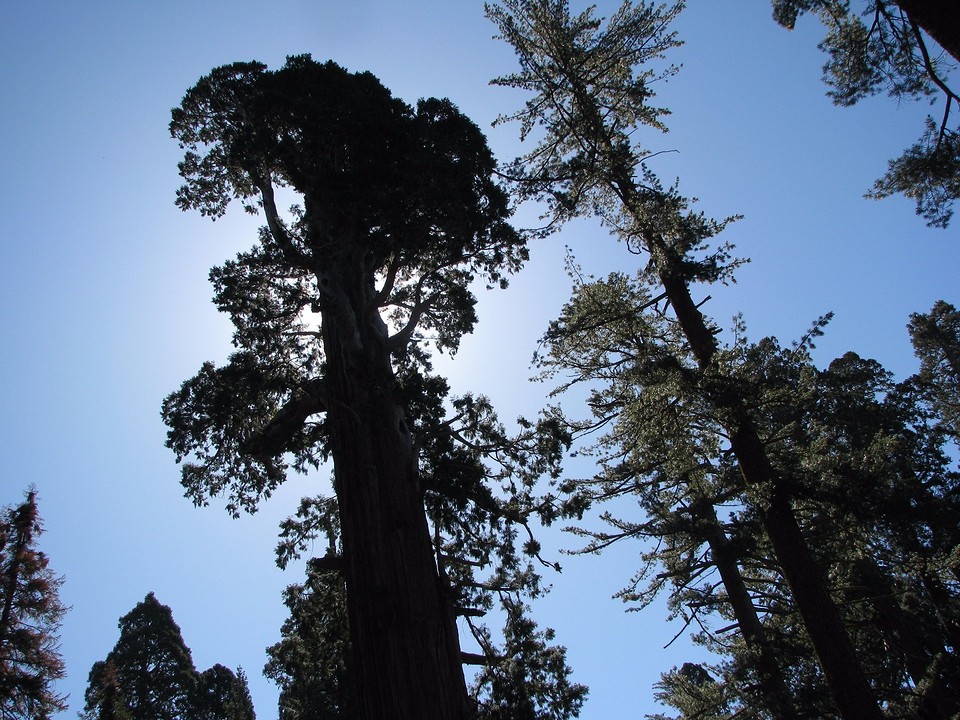 Grand Grove 16 april 015