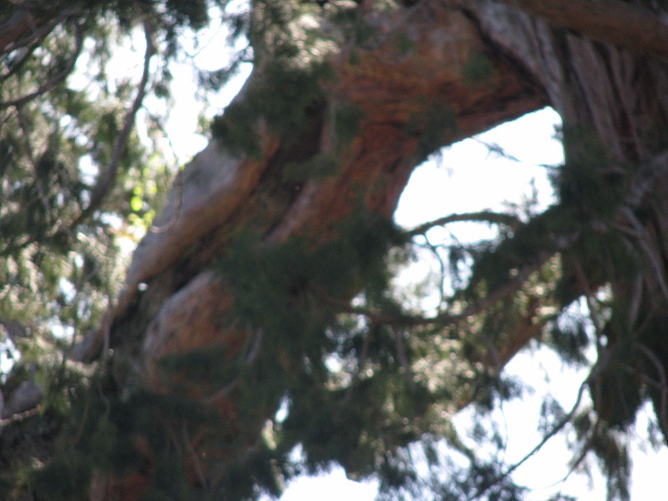 Grand Grove 16 april 016