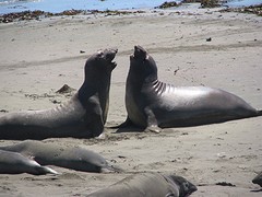 IMG_6050