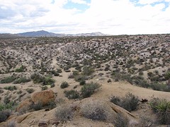 IMG_6057