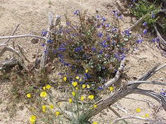 IMG_6065
