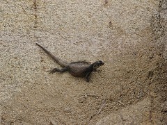 IMG_6071