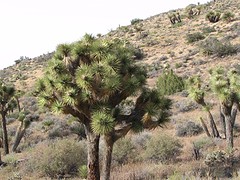 IMG_6083