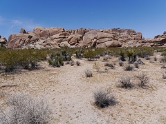 P1000324