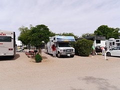 P1000339
