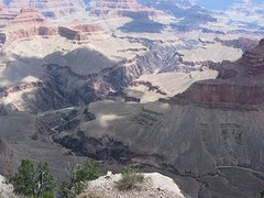 IMG_6101