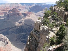 IMG_6105