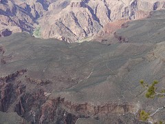 P1000386