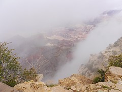 P1000393