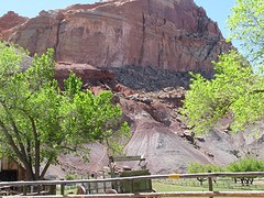 IMG_6201
