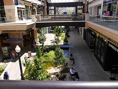 P1000544