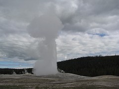 IMG_6284