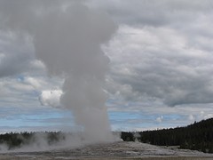 IMG_6289