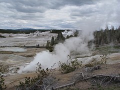 IMG_6316