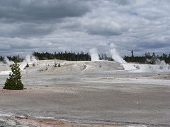 IMG_6320