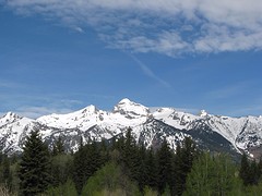 IMG_6225