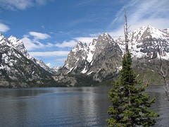IMG_6231