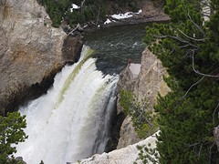 IMG_6251