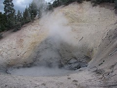 IMG_6276