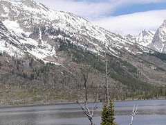 P1000605