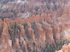 IMG_6329