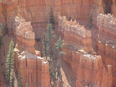 IMG_6330