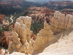 IMG_6344
