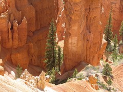 IMG_6354