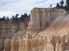 IMG_6357