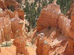 IMG_6363