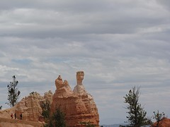 IMG_6377