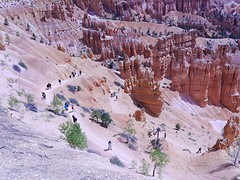 P1000756
