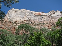 IMG_6416